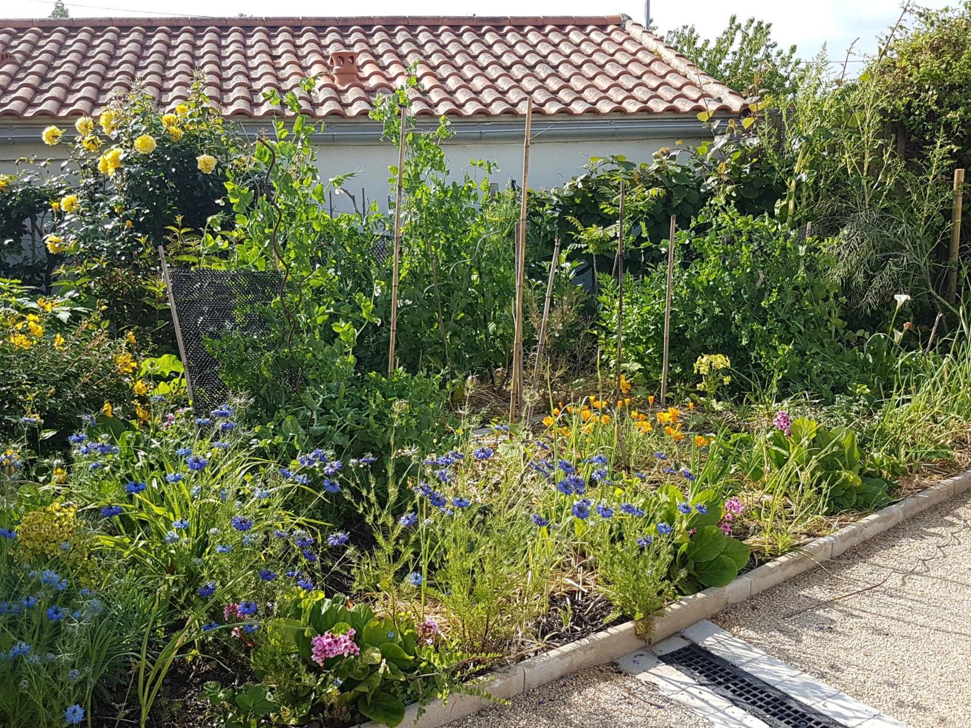 Detente Gite Et Spa Entre Mer Et Marais Villeneuve-en-Retz Kültér fotó
